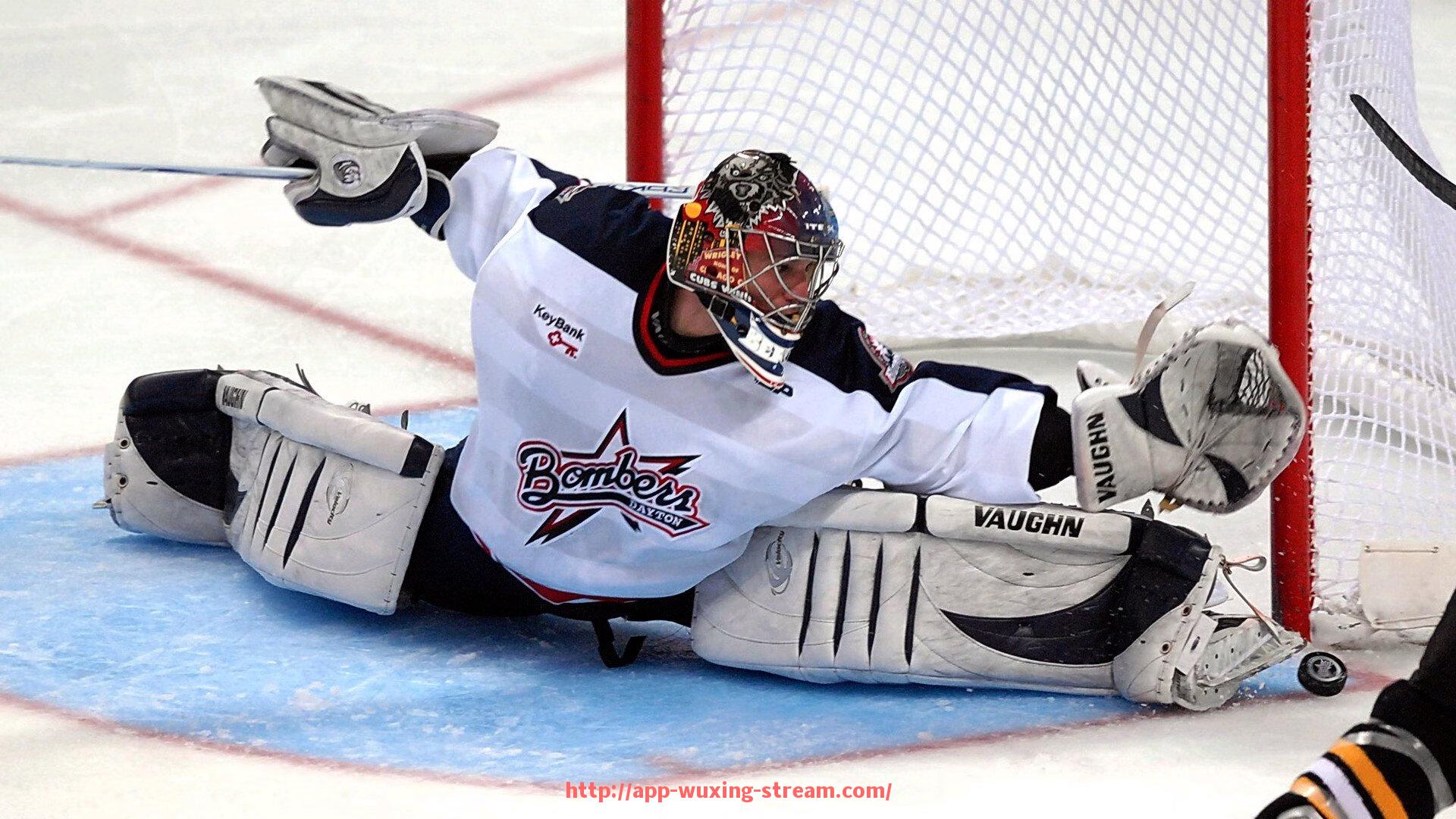 五星体育直播-拥有专业足球场的德甲球队汇总,球场设施对比赛有多重要?