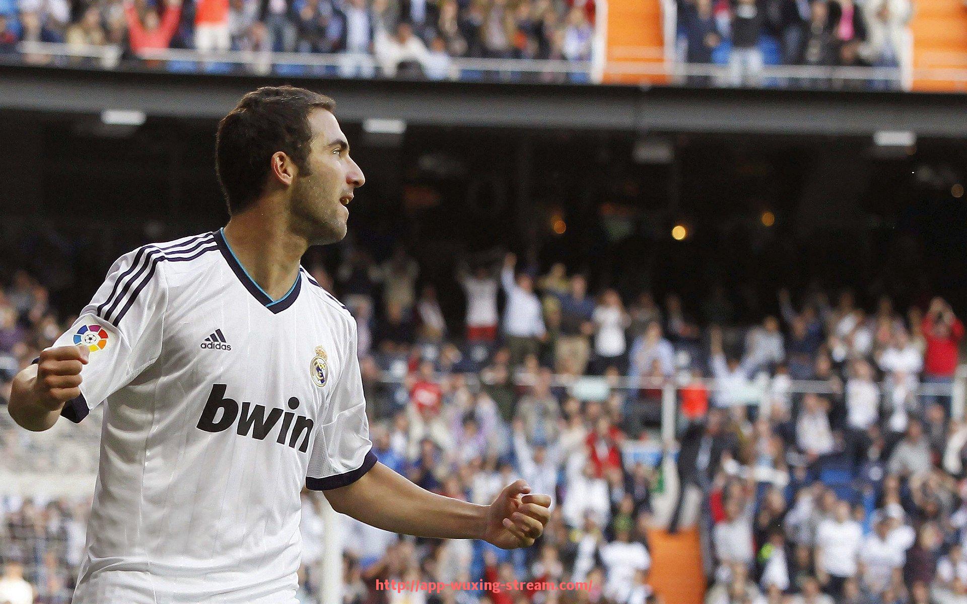 五星体育直播-上海鸿品牌健身器材介绍及市场表现分析